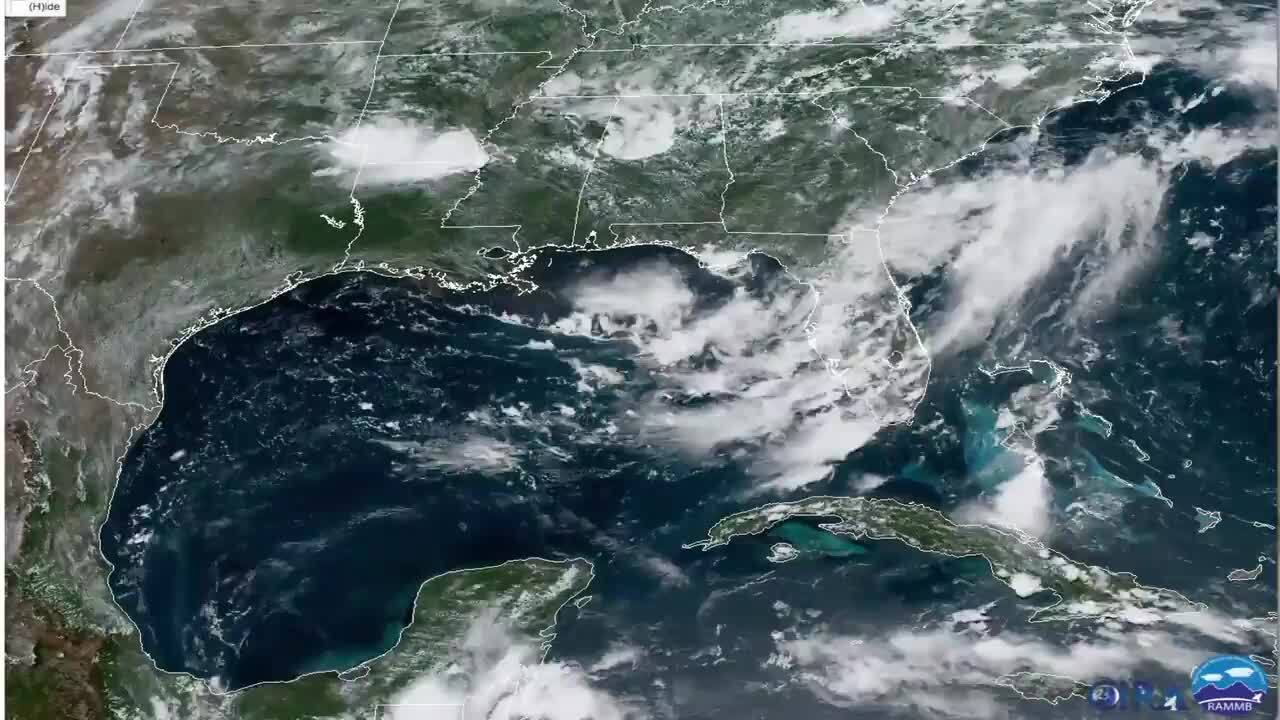 System that could become a tropical depression in the Gulf of Mexico ...