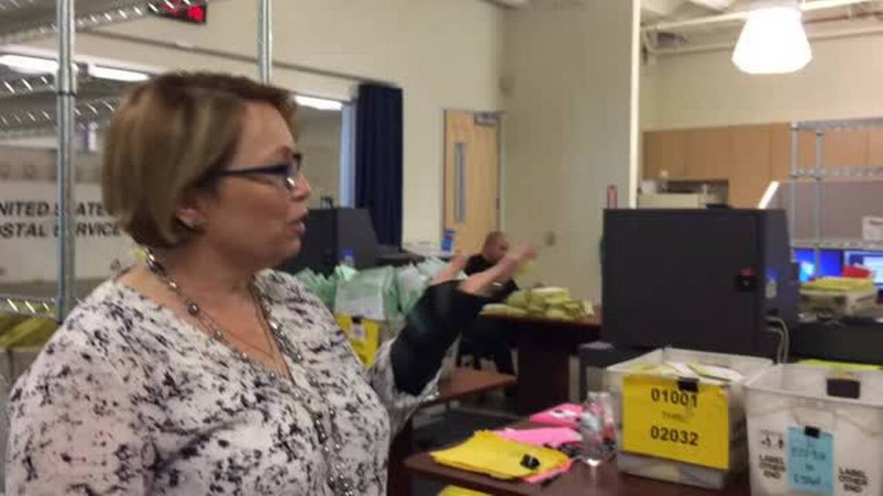 Elections office working to verify signatures, sort ballots