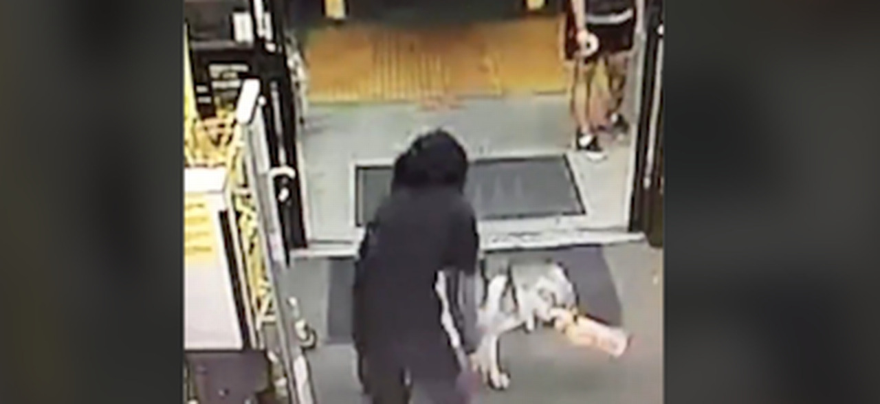This shoplifter got away with a loaf of bread - on all fours