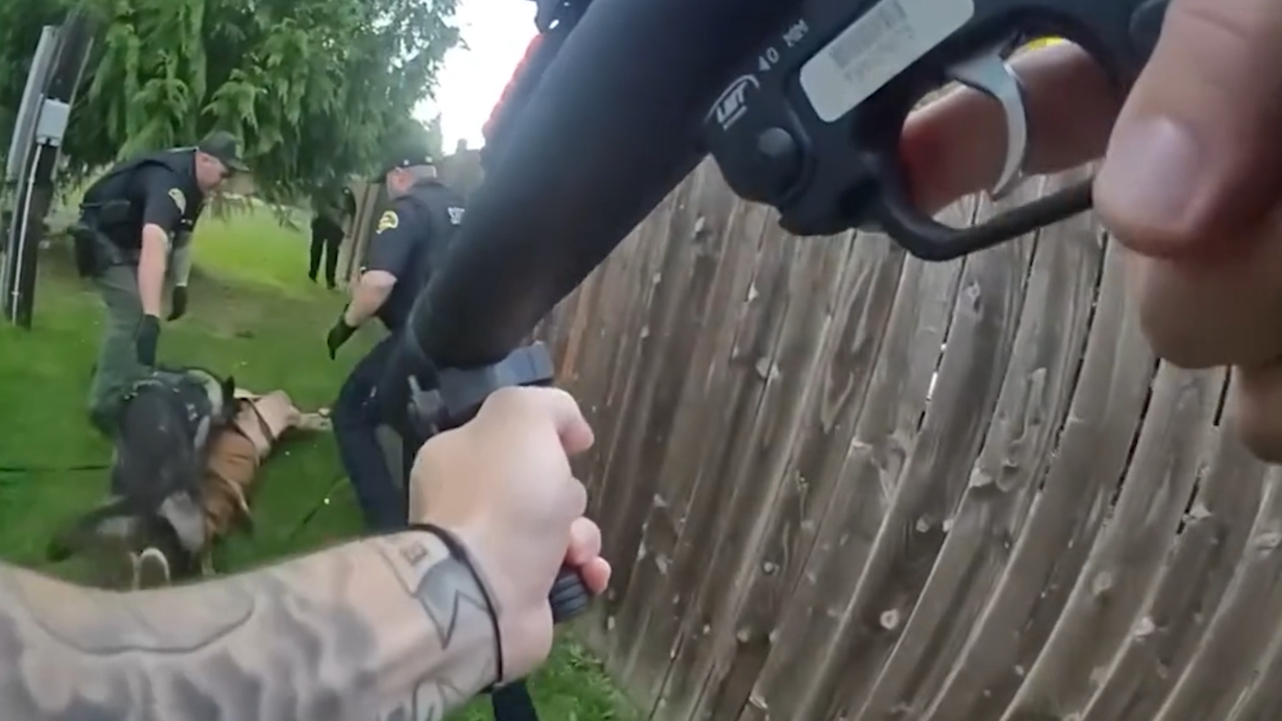 Man hot-wired patrol car window to escape Thurston County deputies, sheriff says