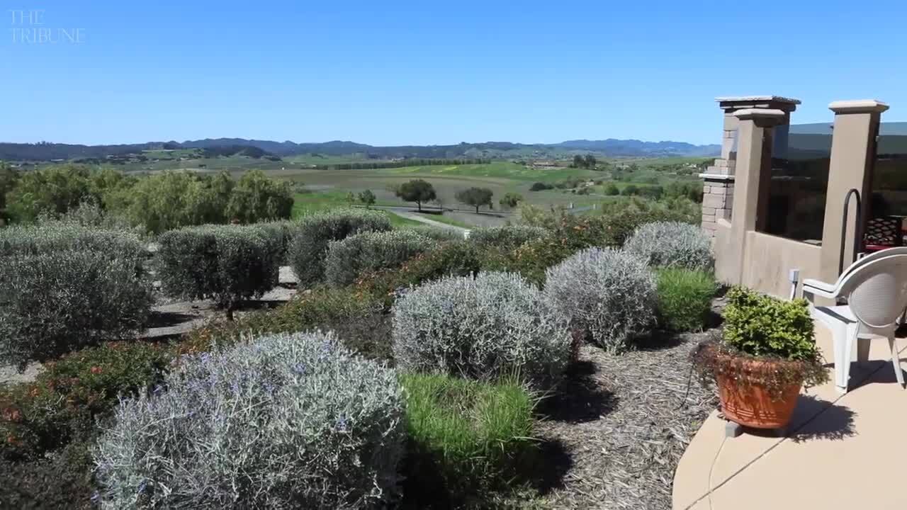 This SLO home's hilltop view is amazing — and it has a garden to match