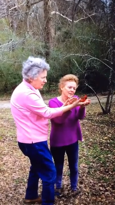Was it a sign from heaven? Daughters call it the ‘Red Cardinal Miracle’