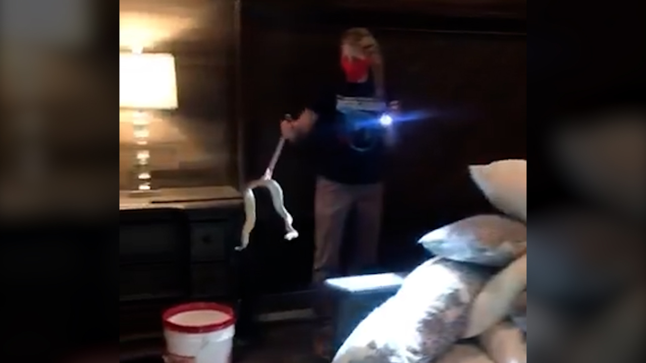 Rattlesnake takes over Arizona woman’s home