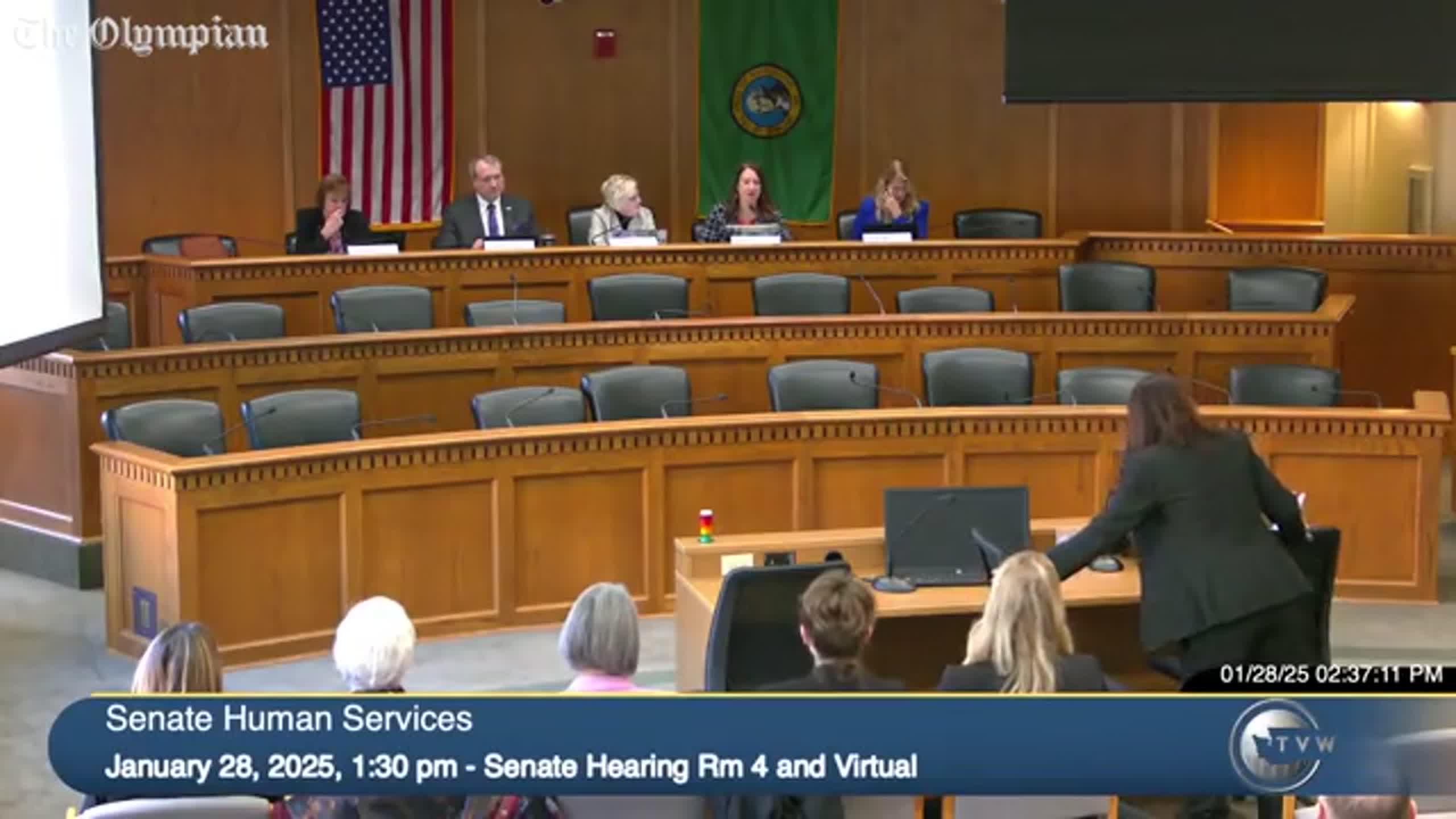 Sen. Noel Frame explains why she filed clergy mandatory-reporting bill