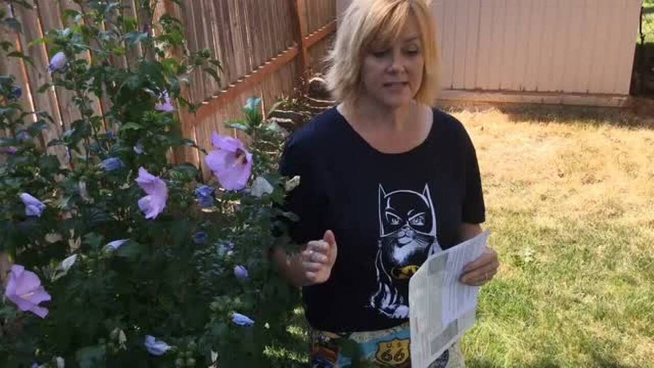 Dig In video series: If your garden or yard isn't thriving, a soil test could help explain why