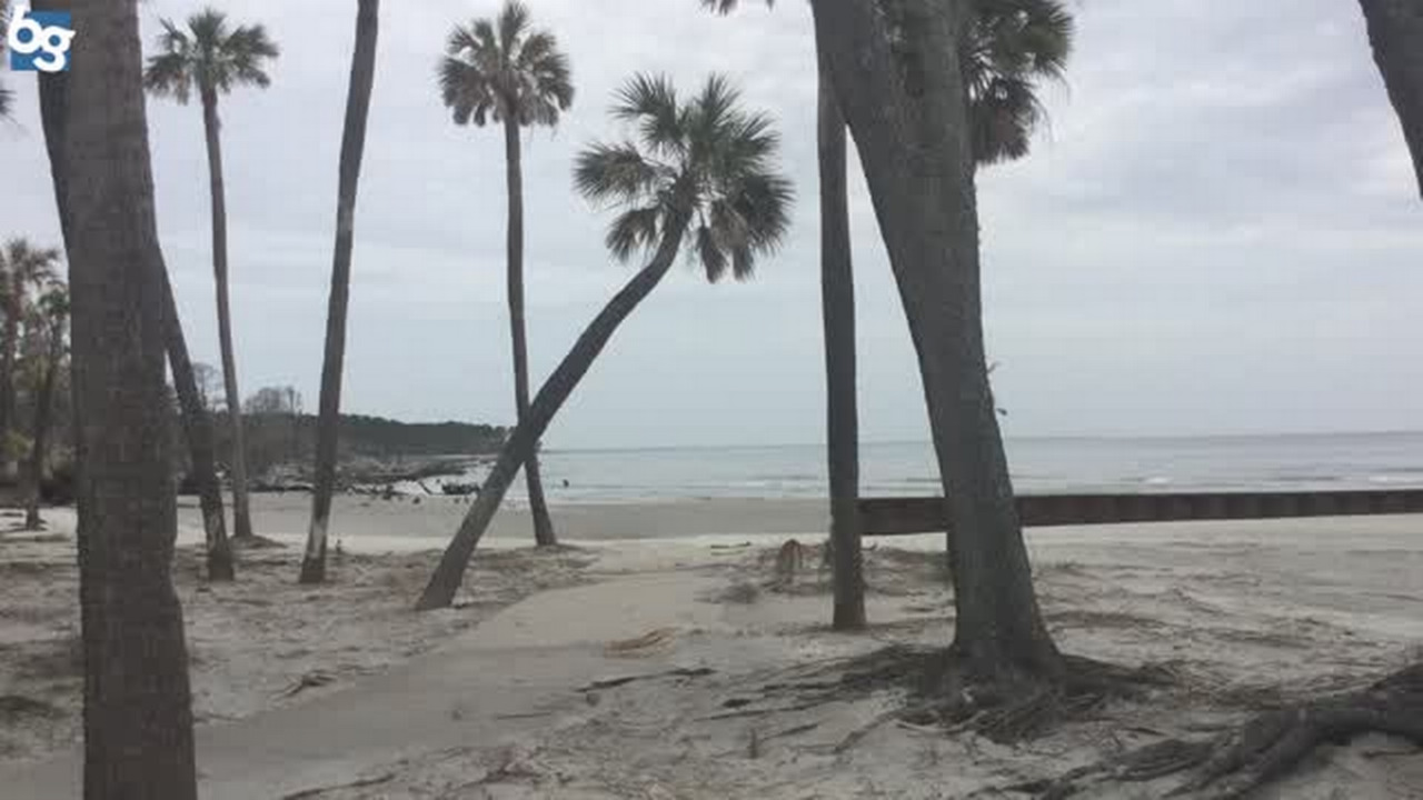 Why do Hunting Island beaches now look like the Caribbean?