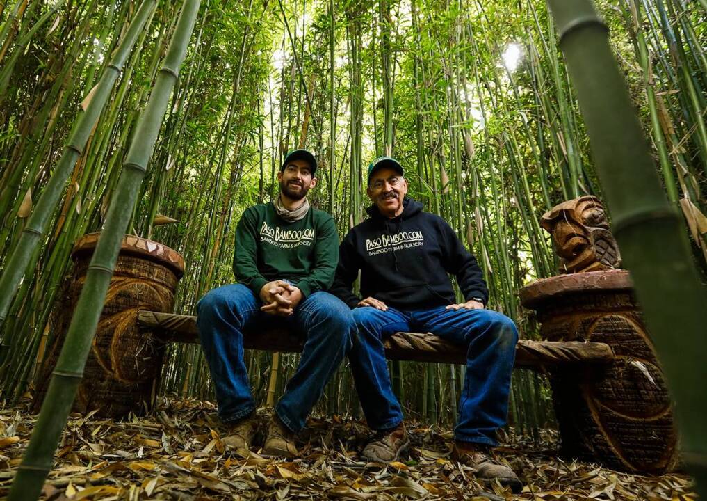 Go behind the scenes of a bamboo 'oasis' growing in Paso Robles