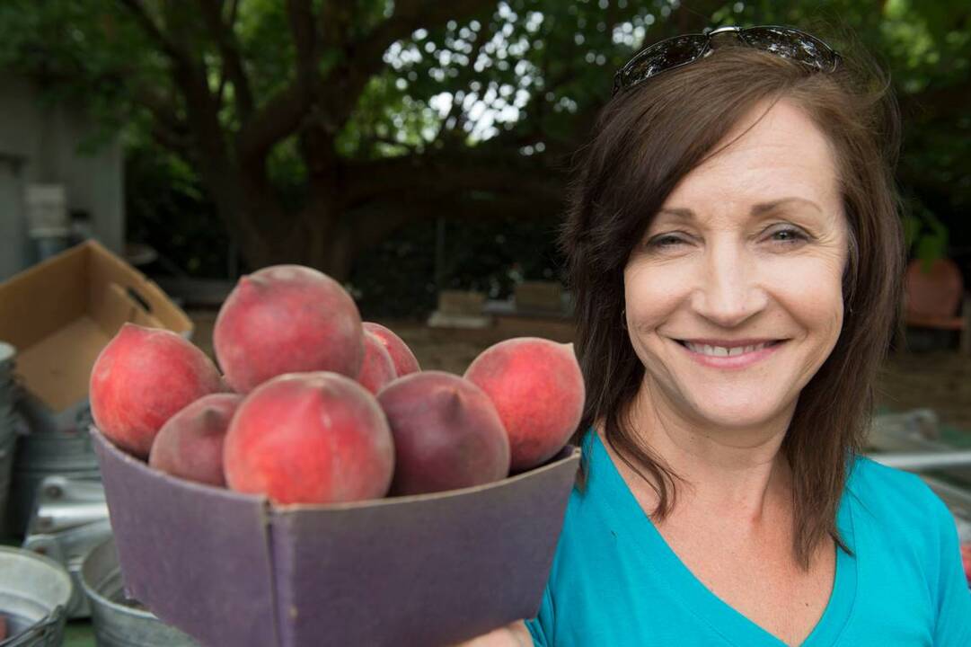 Do you like fresh fruit? A drive to Orangevale will make you happy!