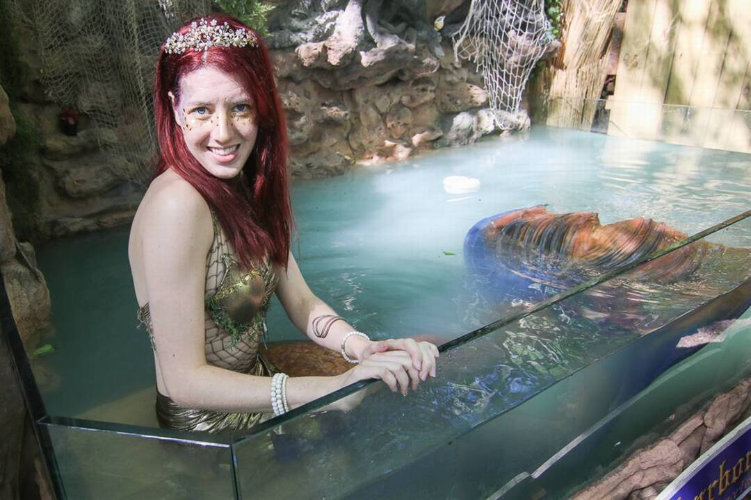 Kids get in free this weekend at Scarborough Renaissance Festival