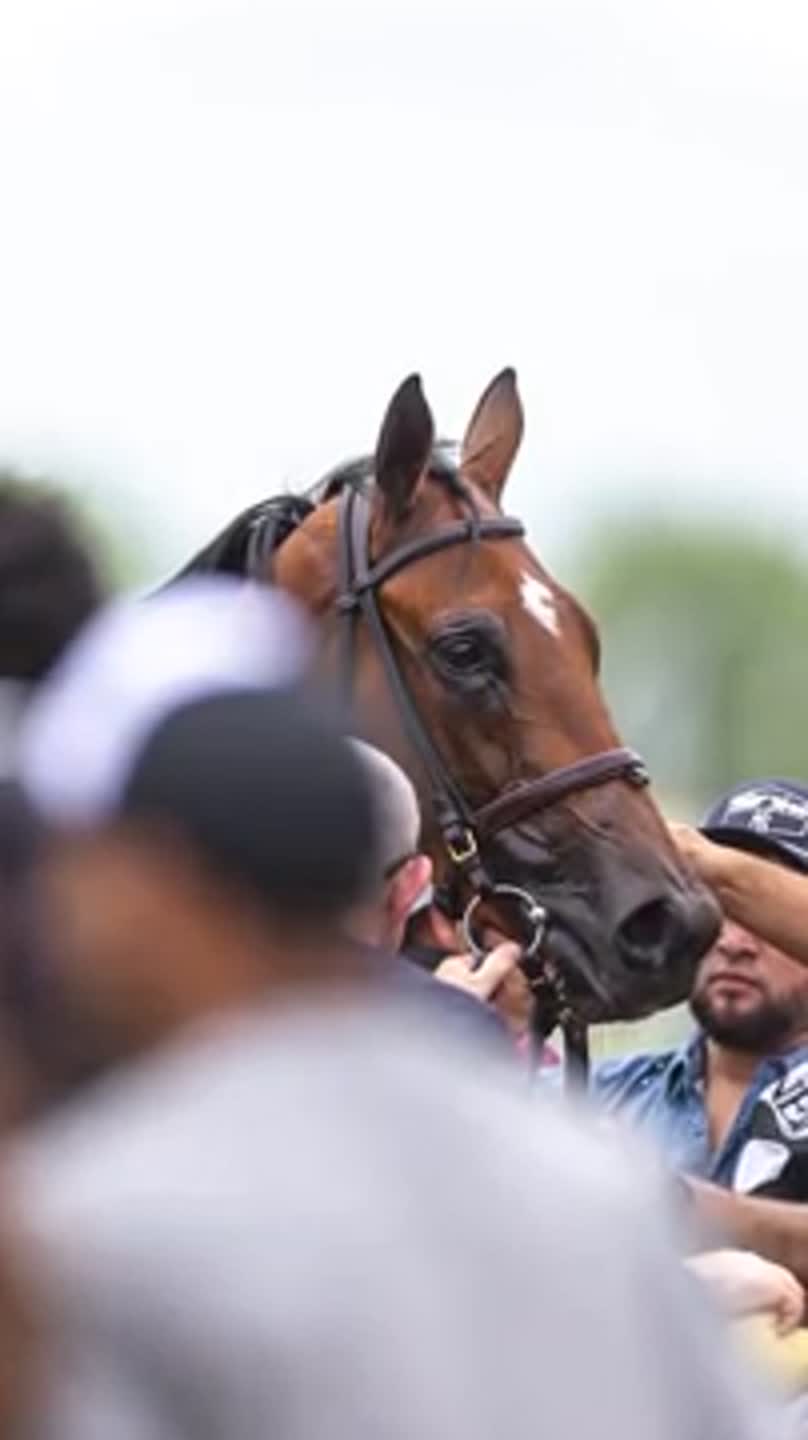 Slideshow: Keeneland Spring 2026 meet underway