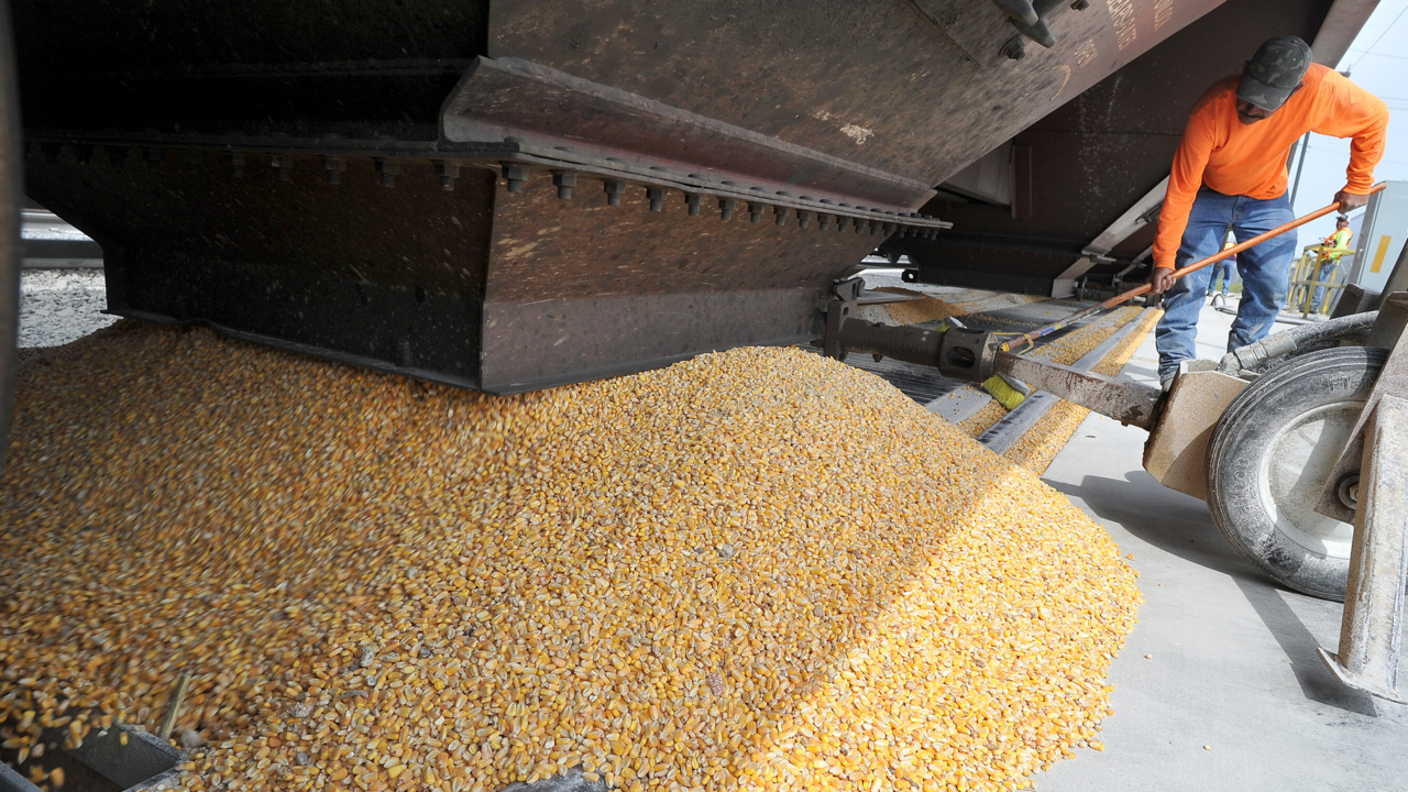 Midwest floods disrupt livestock feed supplies for California farms