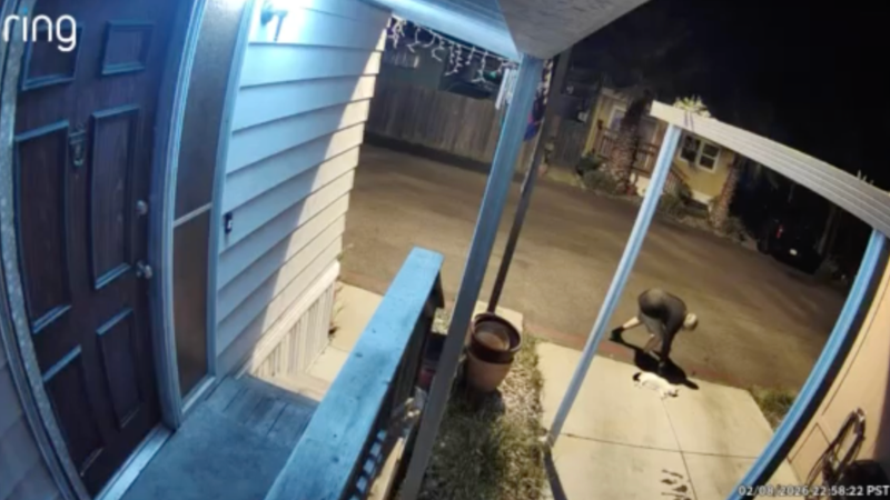 Video shows man picking up cat shot in Hughson-area driveway