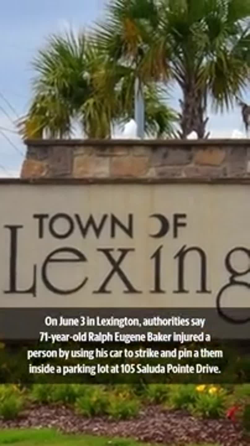 Elderly man in Lexington arrested after hitting, pinning victim