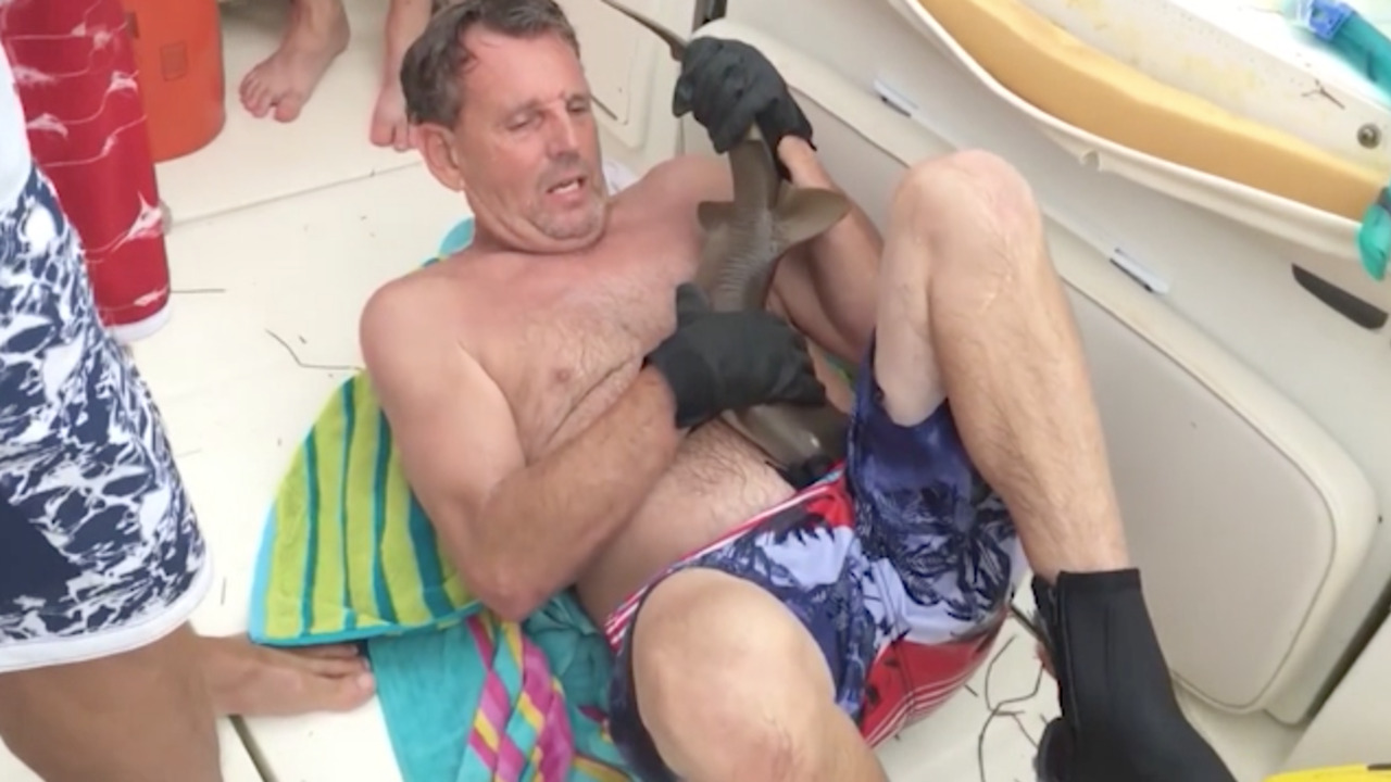 Shark bites Florida man and will not let go
