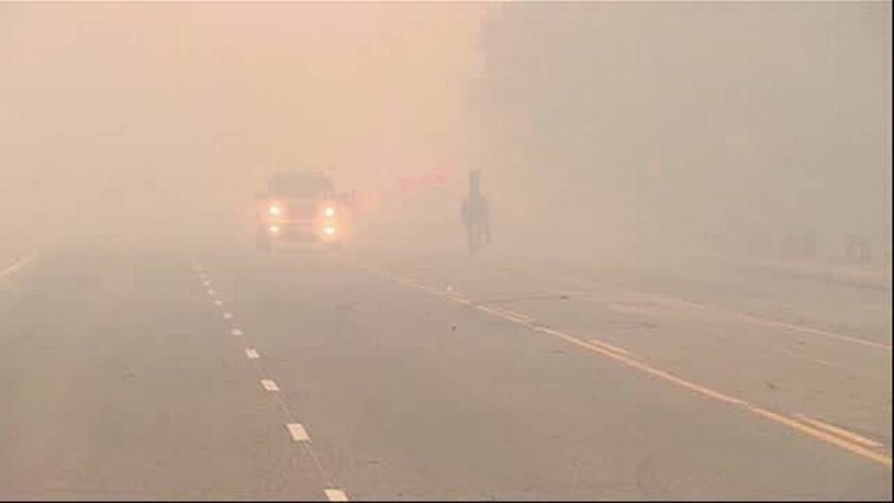 Horse on California highway flees wildfires