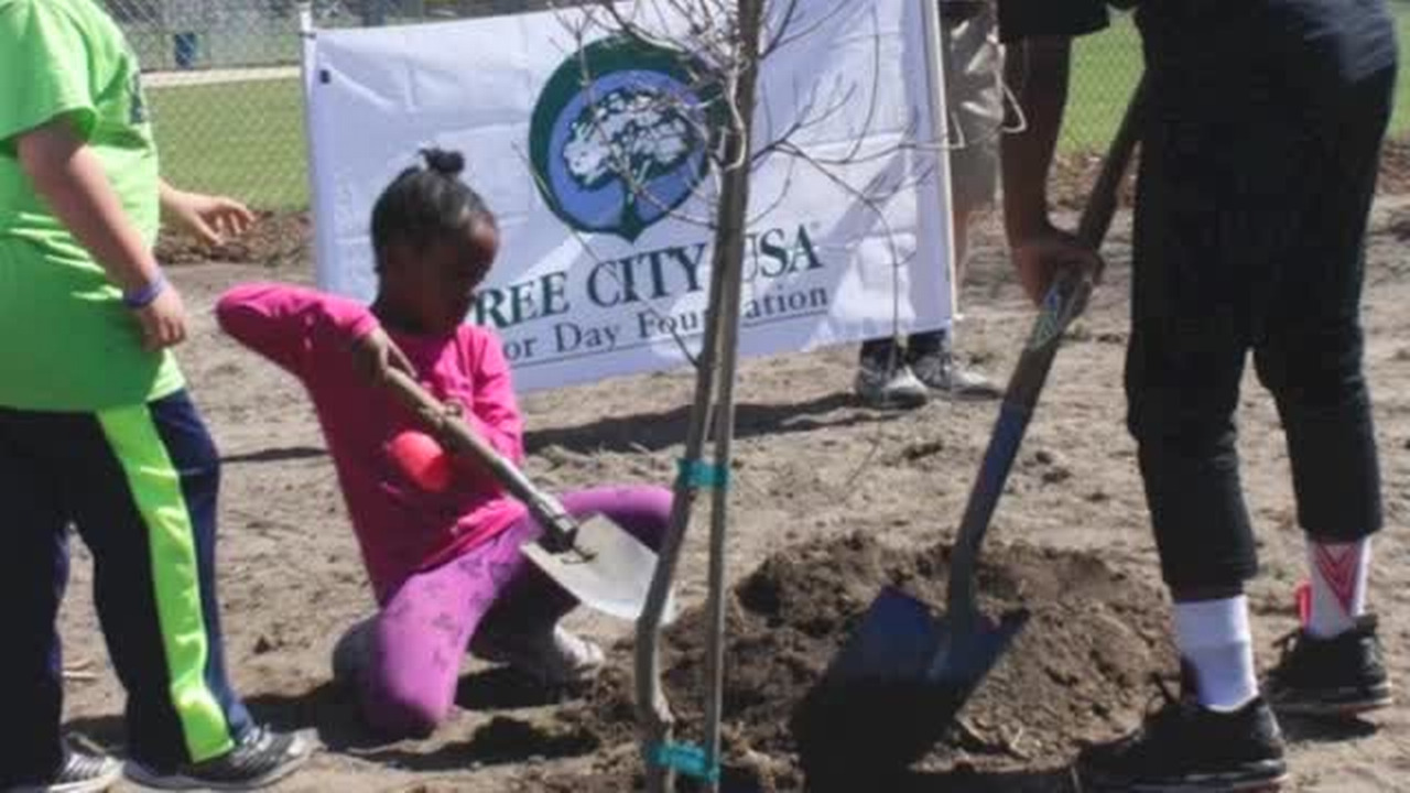 Wendell celebrates Arbor Day