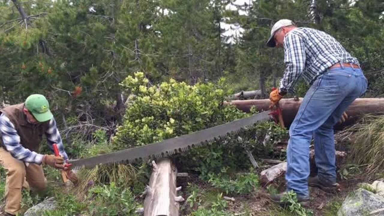They cook the backcountry meals and haul your gear. You provide the labor.