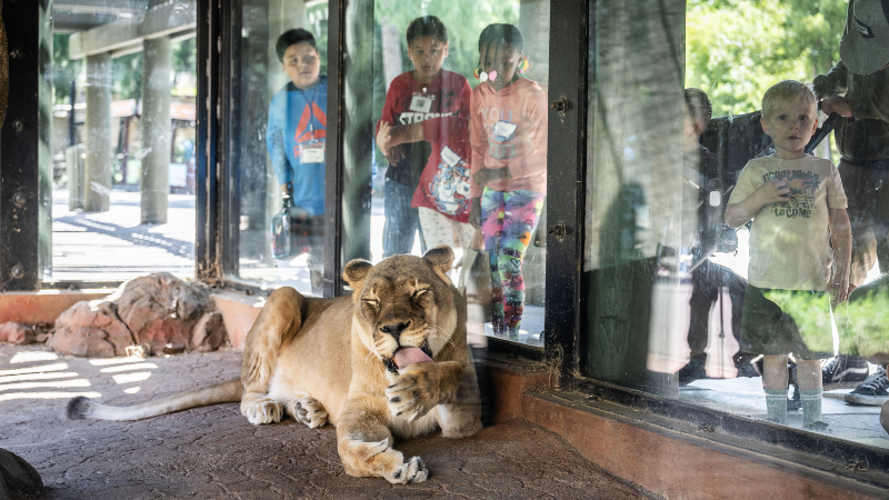 See Sacramento Zoo welcome hundreds of students for its educational programs