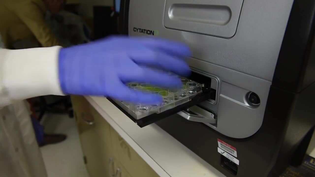 Lab Simulates Outdoor Algae Growth