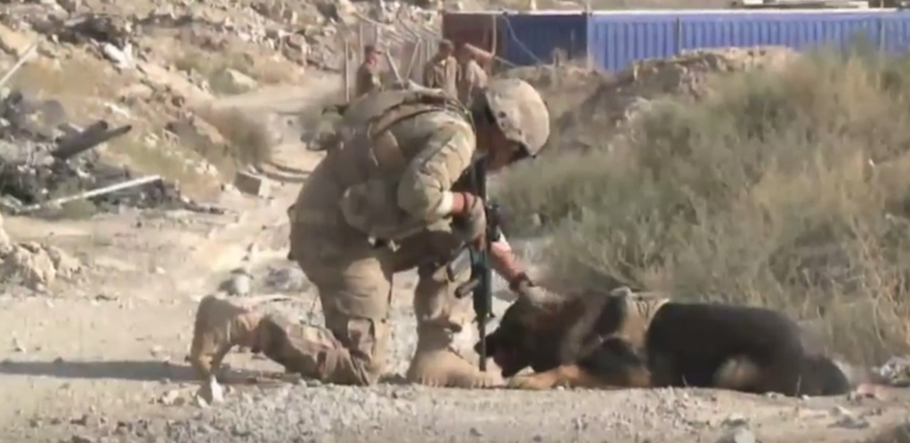 Two men and their life-saving bomb dogs in Afghanistan
