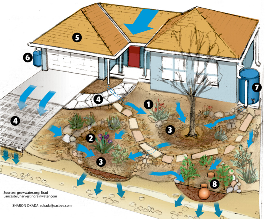 How to harvest rain for your yard