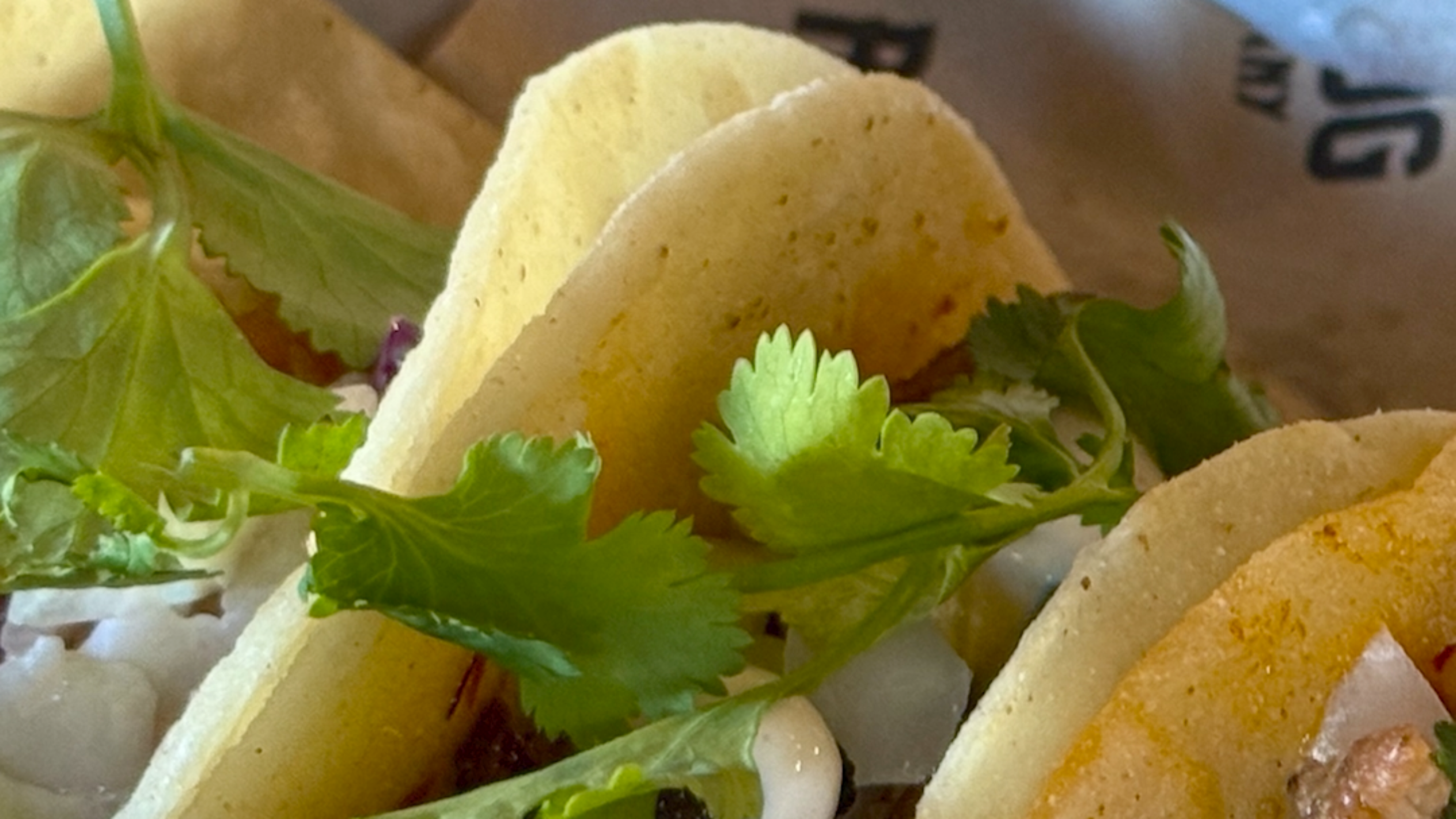 New family-friendly Redd Dog brewpub opens in Tacoma with tacos, beer