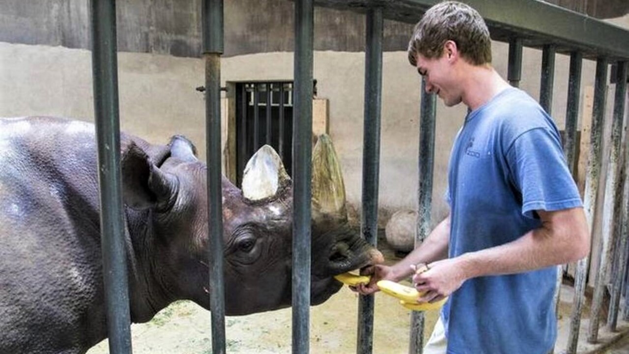 Inside Wichita: How are all the animals at the Sedgwick County Zoo fed?