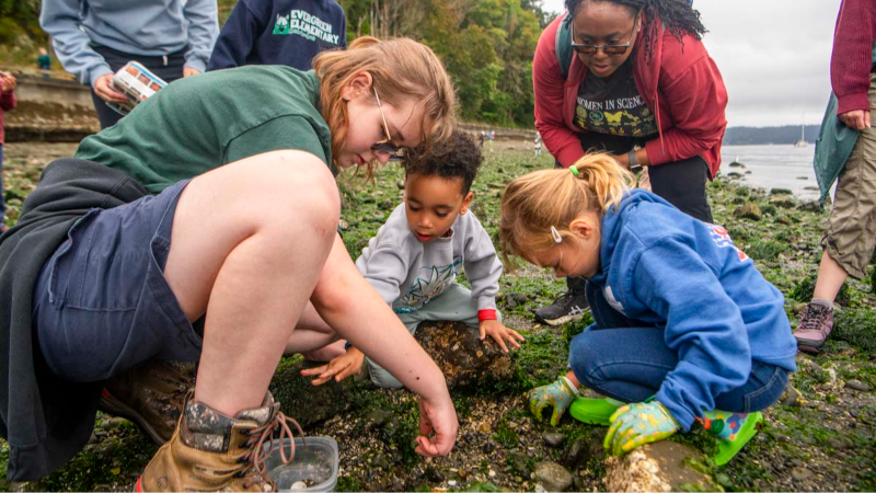 Free guided beach programs return to Tacoma beaches!