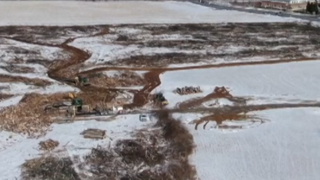 Acres of trees have been cleared at Pine Hall Forest