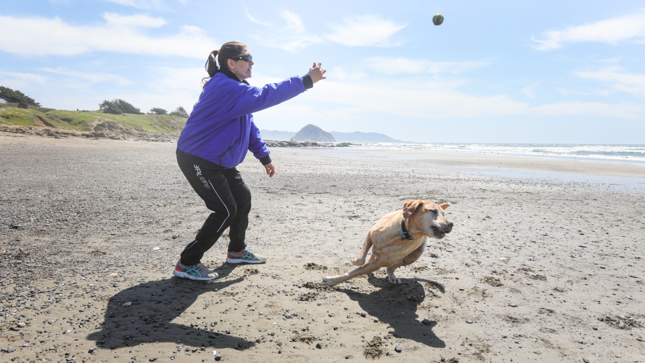 These California cities are among the top dog-friendly vacation spots in US. Here’s why