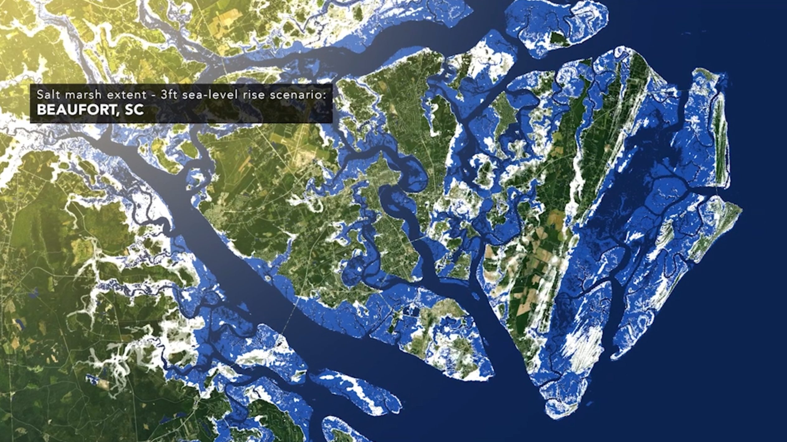 Sea-level rise is threatening SC salt marshes