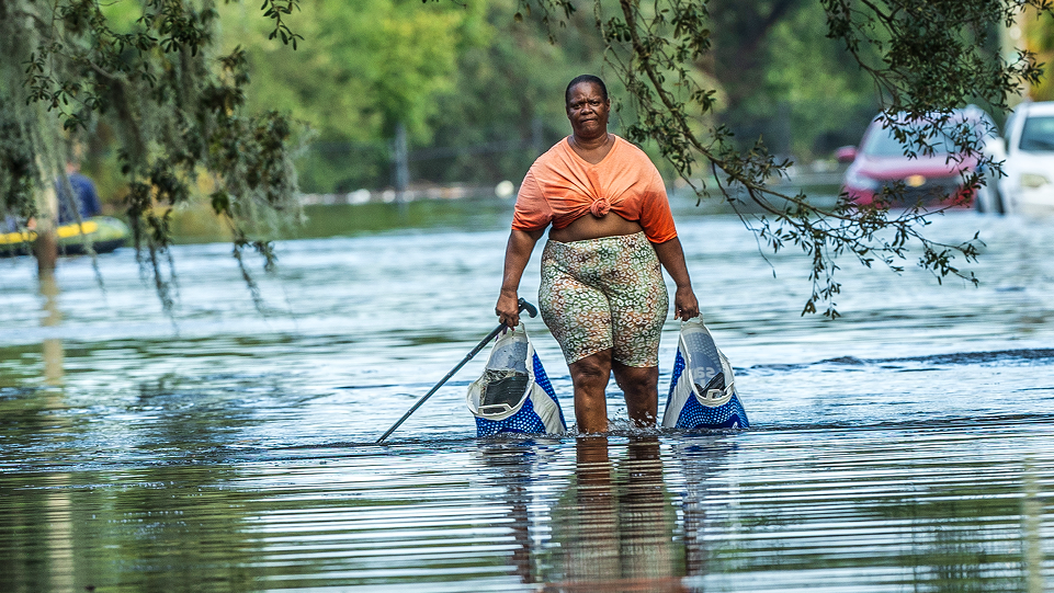 Inland Tampa residents bombarded by Hurricane Milton flooding