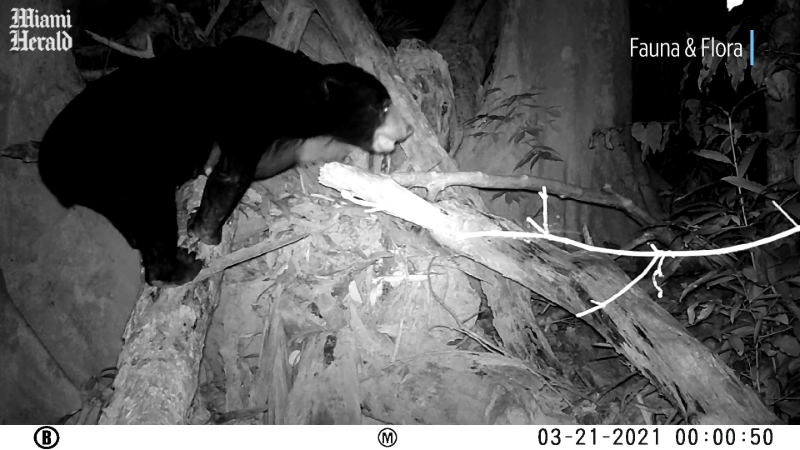 Wildlife surveys reveal rare and unique creatures in Cambodia park