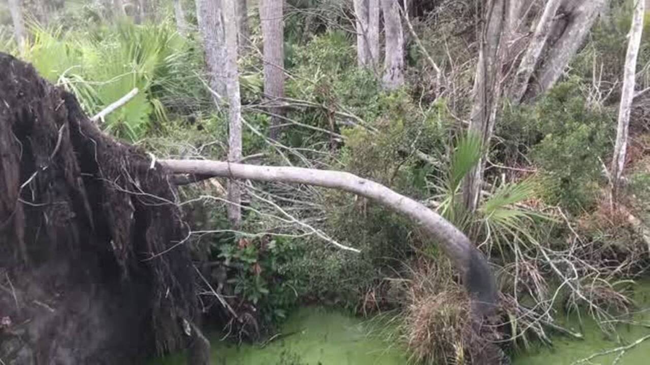 More than a year after Hurricane Matthew, debris remain on Hilton Head
