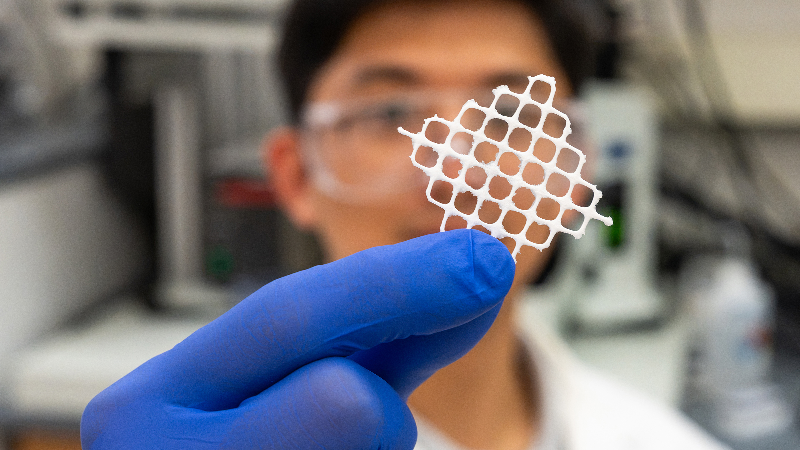 NC State researchers find fuzzy, seaweed-inspired net can clean microplastics from water