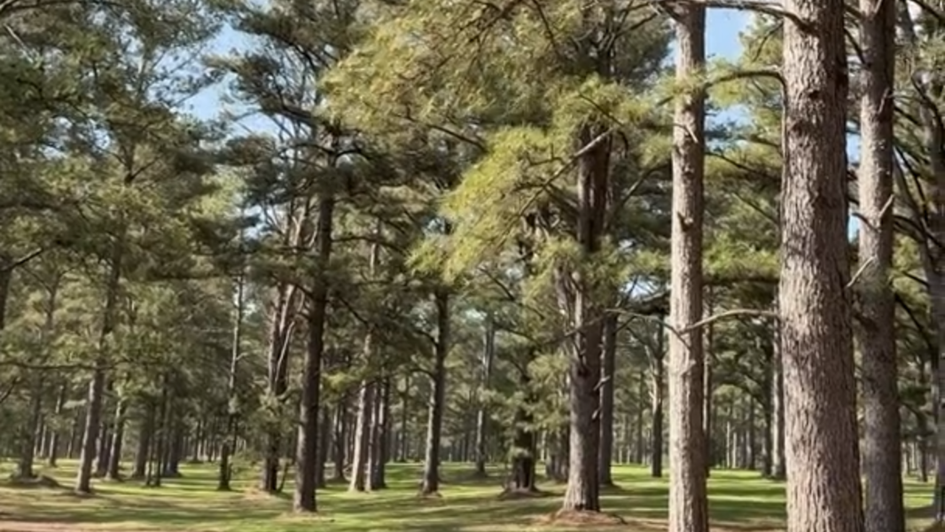 York County’s $21M Catawba Bend Preserve is almost here