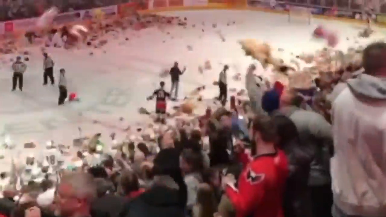 Fans pelt ice hockey rink with thousands of teddy bears for record ‘Bear Toss’