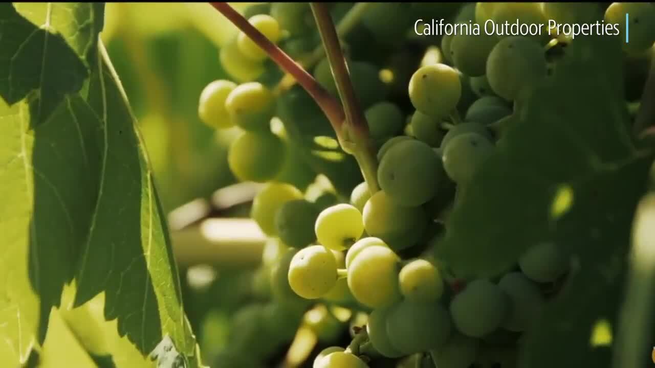 85-year-old Wine Institute to move headquarters to Sacramento from San Francisco