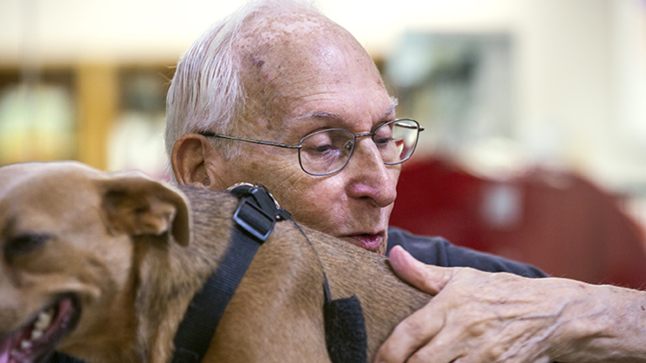 A matchmaker for shy, old, disabled dogs at the SPCA in Raleigh, NC