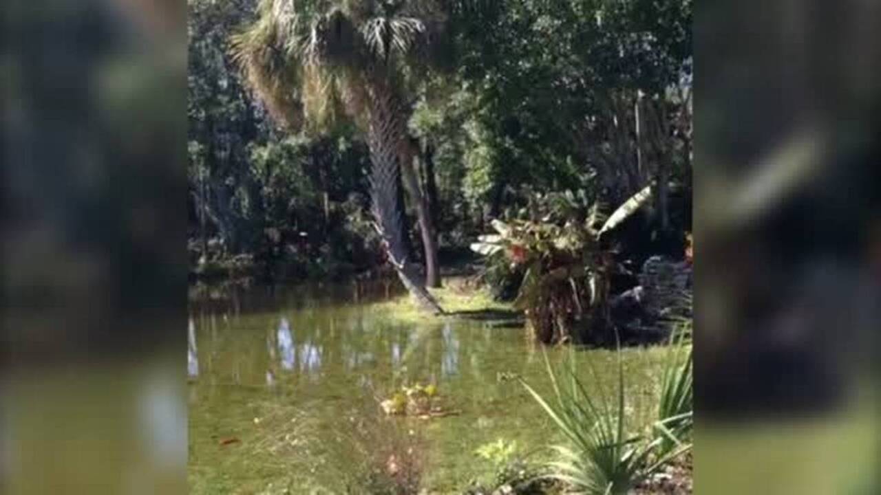 Flooding updates from Hilton Head's Legendary mini golf