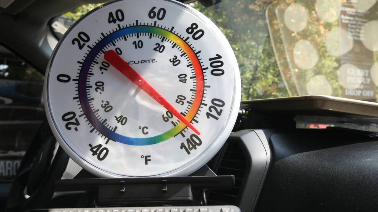What are signs of heatstroke in dogs? How to keep pets safe in extreme heat