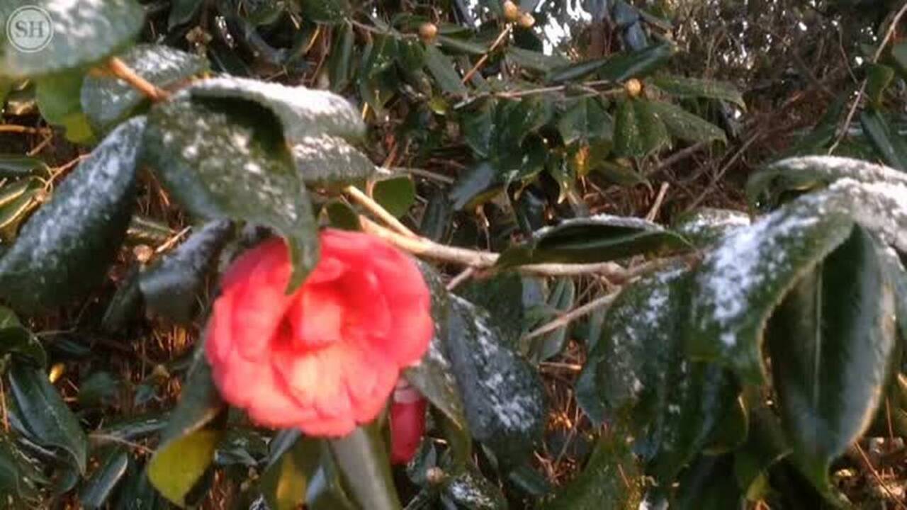 Wintry mix overnight leaves snow day in Vancleave area