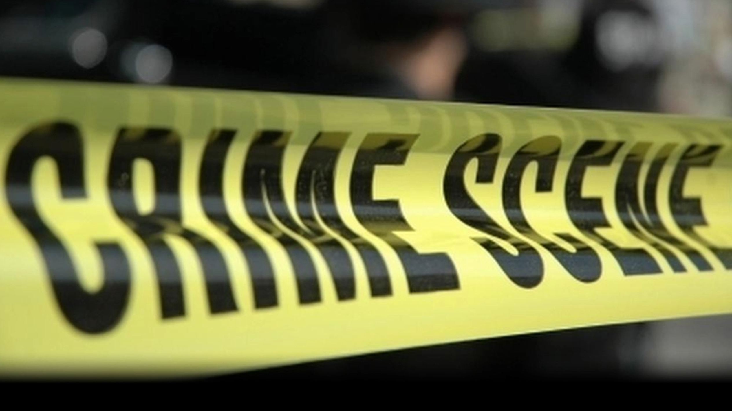 Bluffton stabbing leaves woman dead, suspect facing murder charge