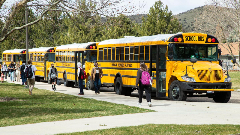 Niche public school rankings