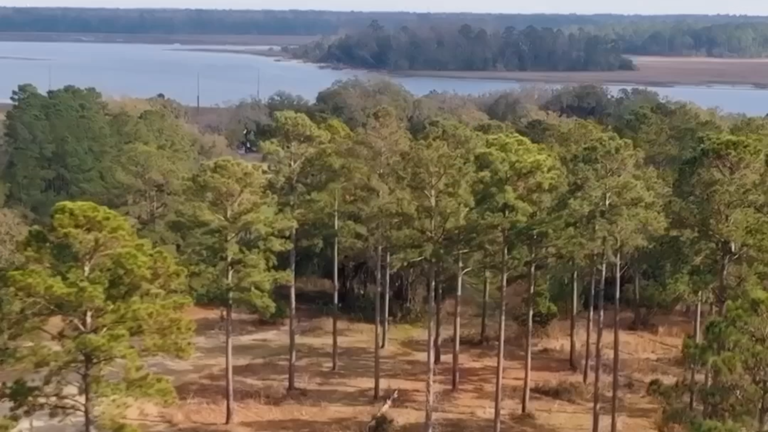 Drone video shows the unspoiled beauty of Clarendon Farms, now protected