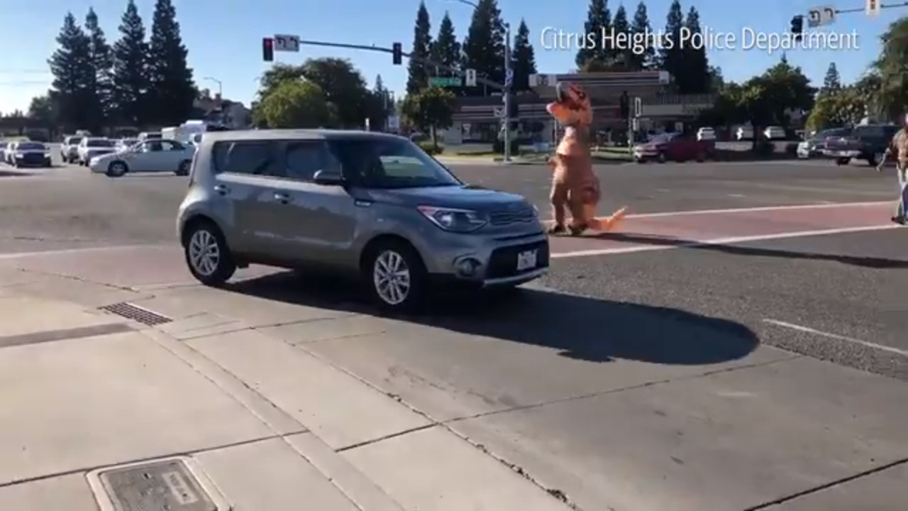 This is what a dinosaur and police were doing on the streets
