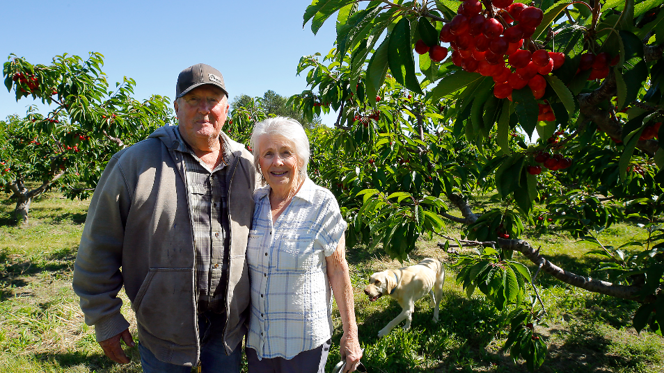 Sweet tradition of Ray French Orchard headed towards retirement
