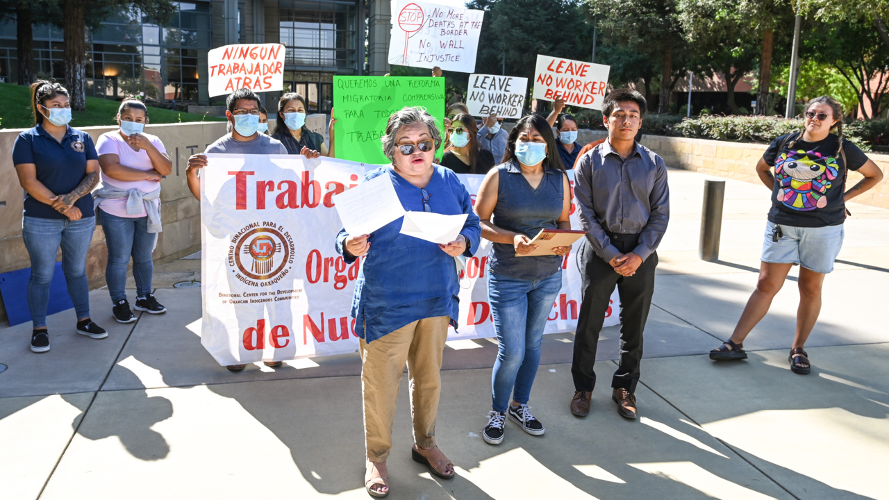 Sen. Alex Padilla under scrutiny as California farmworker groups split over workforce law