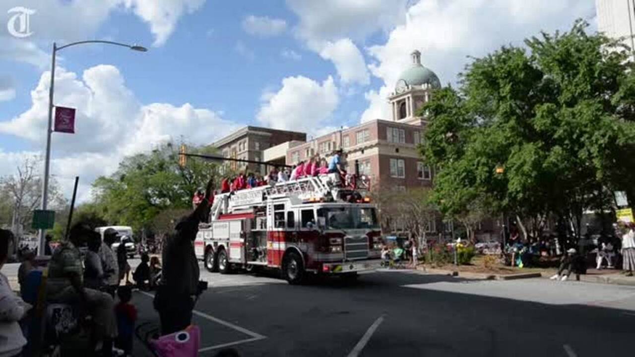 5 signs you are Cherry Blossomed out