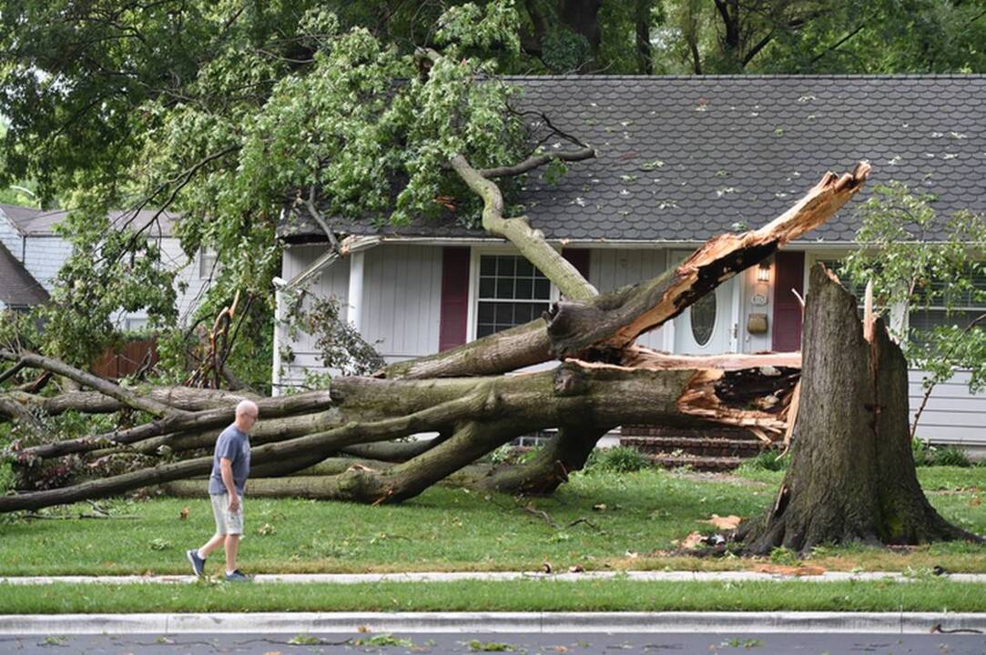 KC area storms leave a mess of downed trees and damage (Video) | Kansas ...